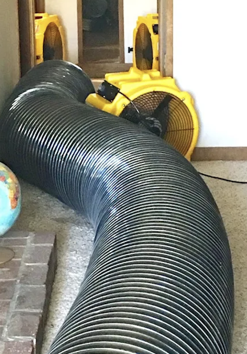 Screenshot 2025-06-19 at 10.55.36 AM